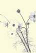 photo96_small.jpg