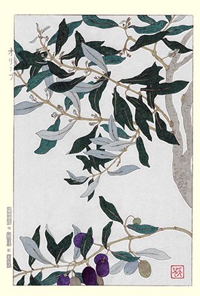 photo19.jpg