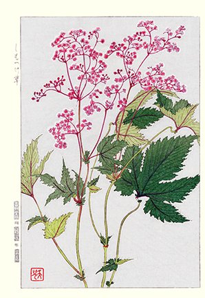 photo25.jpg