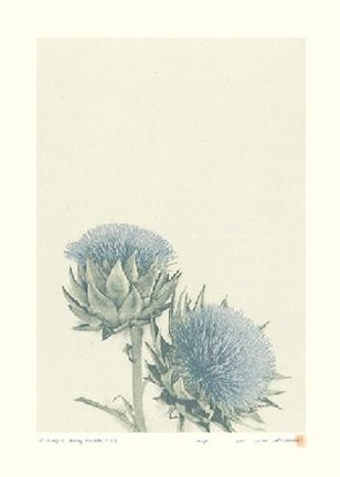 photo5.jpg
