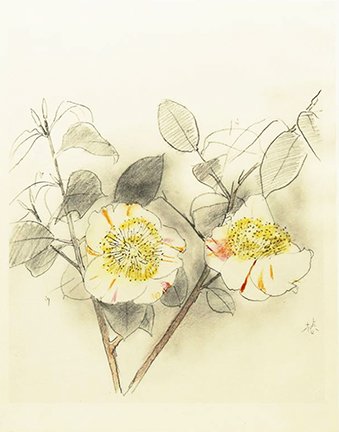 photo2.jpg