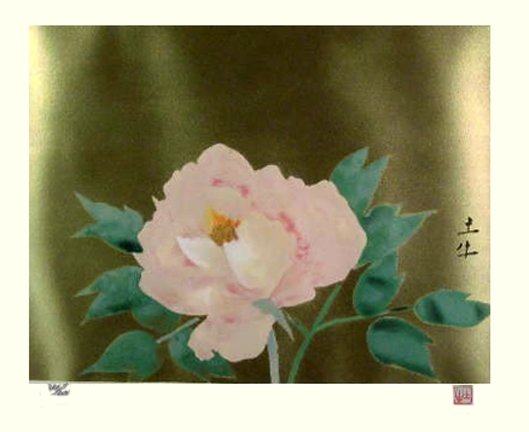 photo24.jpg