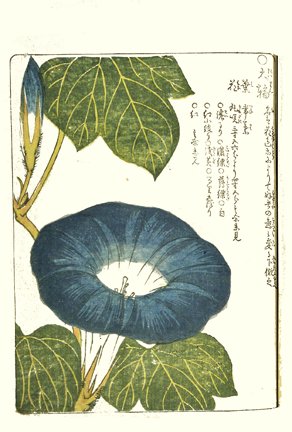 photo.jpg