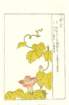 photo12_small.jpg