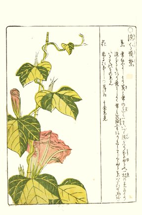 photo13.jpg