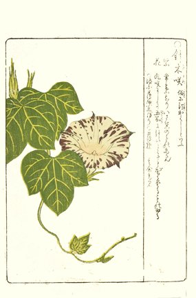 photo15.jpg