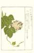 photo15_small.jpg