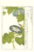 photo16_small.jpg