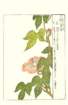 photo18_small.jpg
