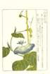 photo19_small.jpg