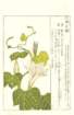 photo20_small.jpg