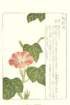 photo21_small.jpg