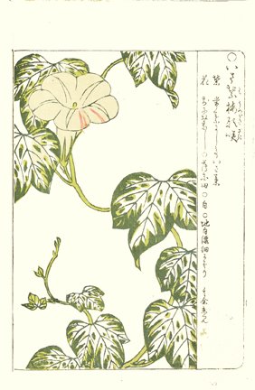 photo22.jpg