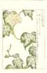 photo22_small.jpg