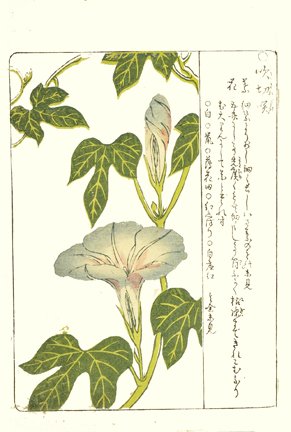 photo23.jpg
