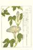 photo23_small.jpg