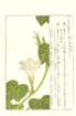 photo24_small.jpg