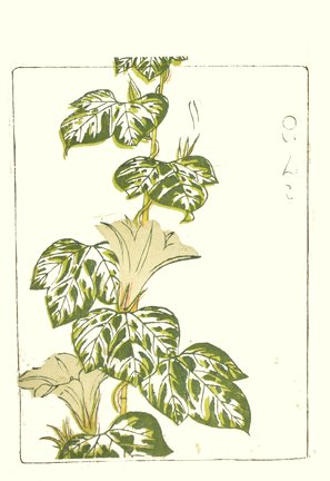 photo25.jpg