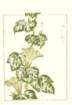 photo25_small.jpg
