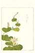 photo26_small.jpg