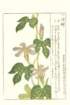 photo27_small.jpg
