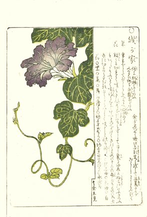photo28.jpg
