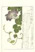 photo28_small.jpg