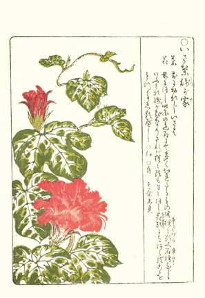 photo29.jpg