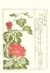 photo29_small.jpg