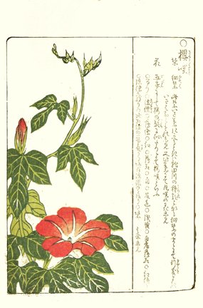 photo3.jpg