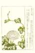 photo31_small.jpg