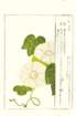 photo32_small.jpg