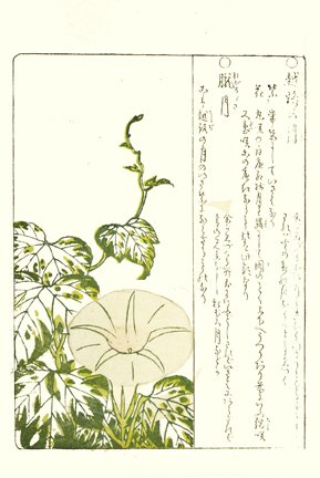 photo33.jpg