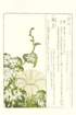 photo33_small.jpg