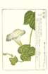 photo34_small.jpg