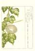 photo35_small.jpg