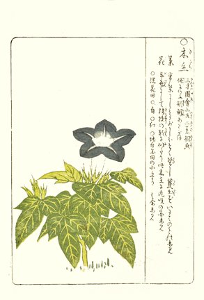 photo36.jpg