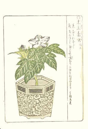 photo37.jpg