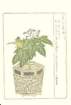 photo37_small.jpg