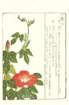 photo3_small.jpg