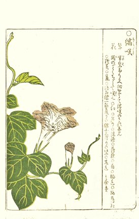 photo4.jpg