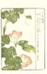 photo5_small.jpg