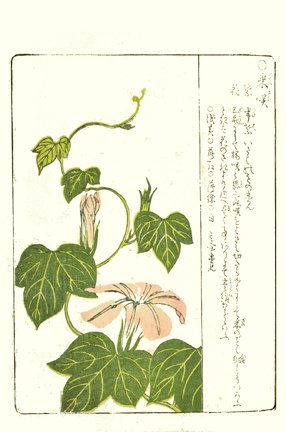 photo7.jpg