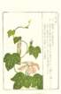 photo7_small.jpg