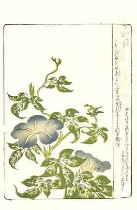 photo9.jpg