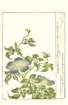 photo9_small.jpg
