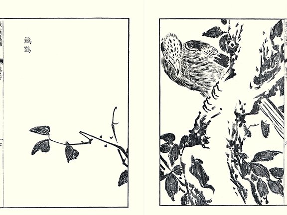 photo20.jpg