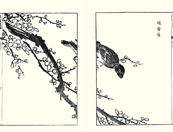 photo23.jpg