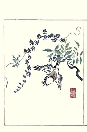 photo13.jpg