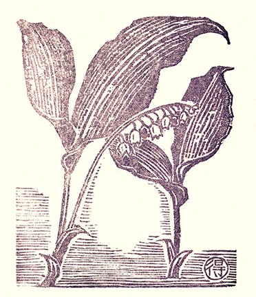 photo15.jpg
